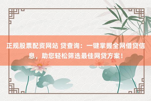 正规股票配资网站 贷查询：一键掌握全网借贷信息，助您轻松筛选最佳网贷方案！