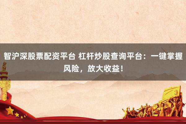 智沪深股票配资平台 杠杆炒股查询平台：一键掌握风险，放大收益！