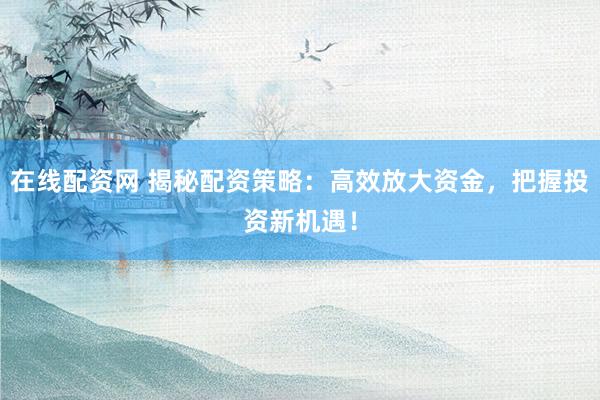 在线配资网 揭秘配资策略：高效放大资金，把握投资新机遇！