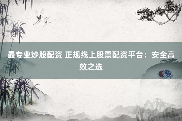 最专业炒股配资 正规线上股票配资平台：安全高效之选