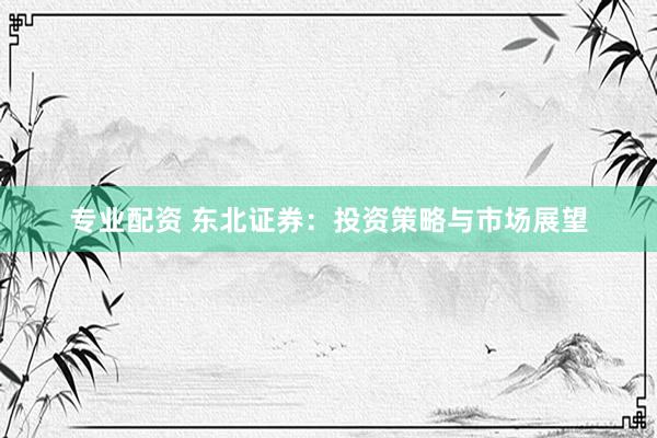 专业配资 东北证券：投资策略与市场展望