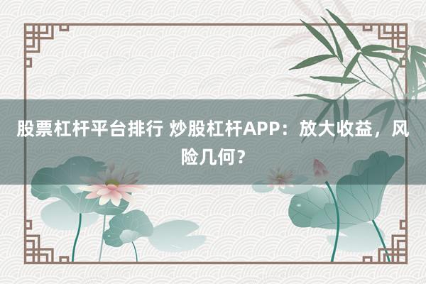 股票杠杆平台排行 炒股杠杆APP:放大收益,风险几何?