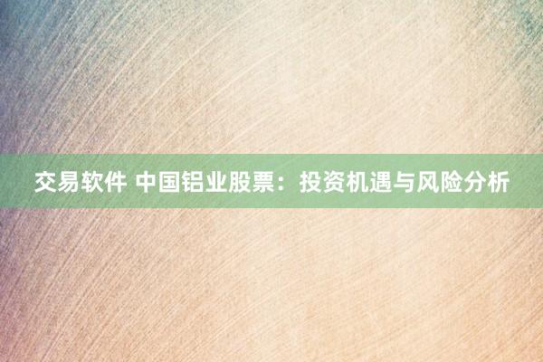交易软件 中国铝业股票:投资机遇与风险分析