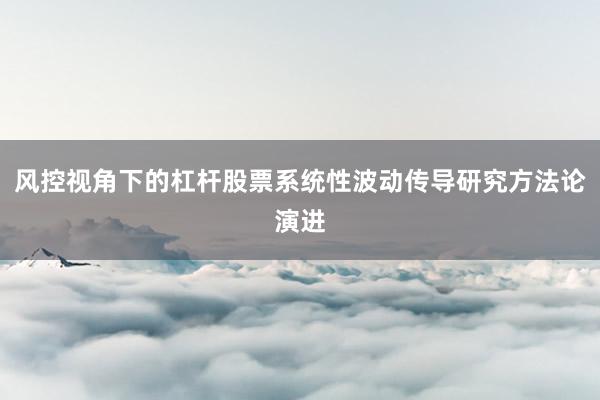 风控视角下的杠杆股票系统性波动传导研究方法论演进