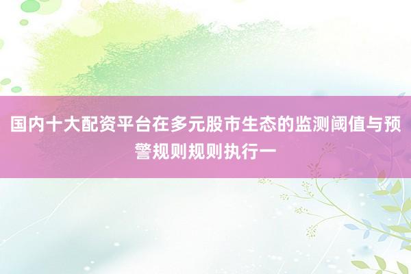 国内十大配资平台在多元股市生态的监测阈值与预警规则规则执行一