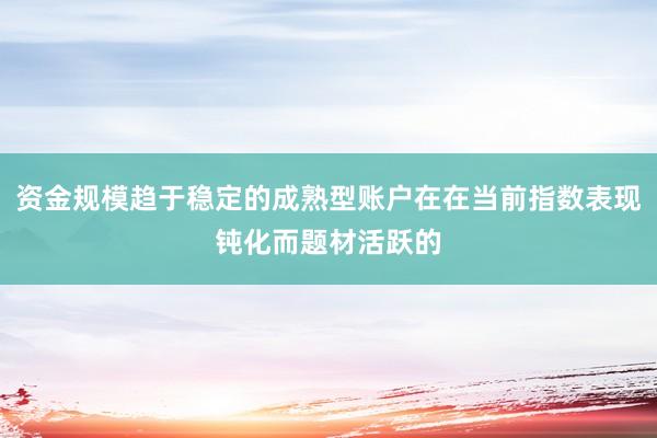 资金规模趋于稳定的成熟型账户在在当前指数表现钝化而题材活跃的