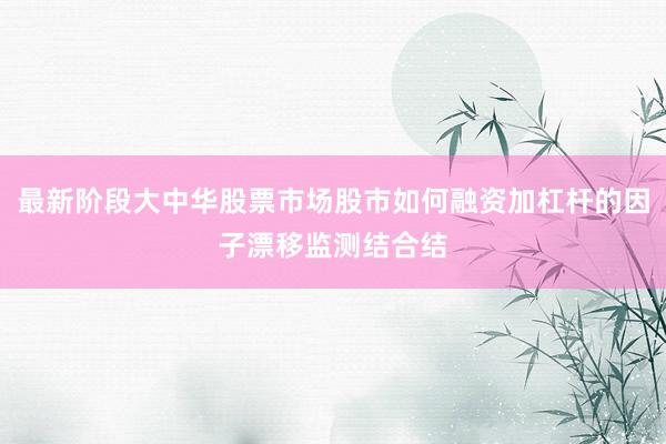 最新阶段大中华股票市场股市如何融资加杠杆的因子漂移监测结合结