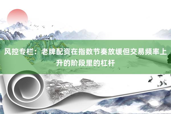 风控专栏：老牌配资在指数节奏放缓但交易频率上升的阶段里的杠杆