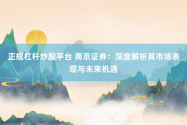 正规杠杆炒股平台 南京证券：深度解析其市场表现与未来机遇