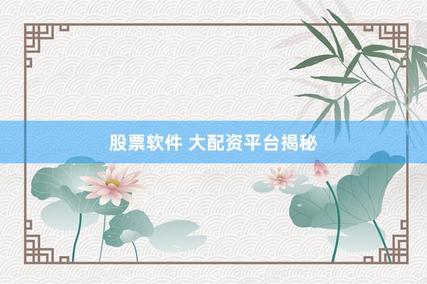 股票软件 大配资平台揭秘