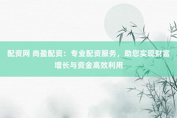 配资网 尚盈配资：专业配资服务，助您实现财富增长与资金高效利用
