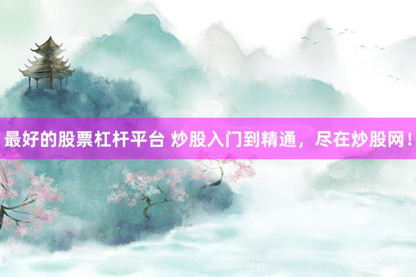 最好的股票杠杆平台 炒股入门到精通，尽在炒股网！