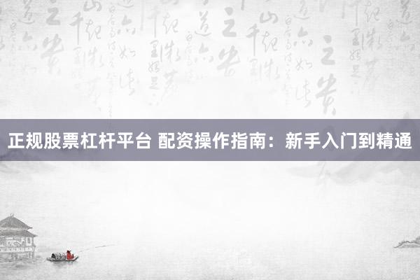 正规股票杠杆平台 配资操作指南：新手入门到精通