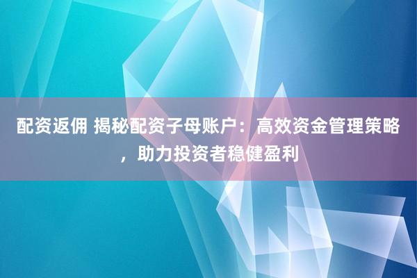 配资返佣 揭秘配资子母账户：高效资金管理策略，助力投资者稳健盈利