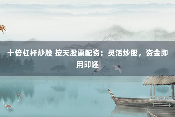 十倍杠杆炒股 按天股票配资:灵活炒股,资金即用即还